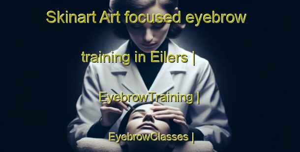 Skinart Art-focused eyebrow training in Eilers | EyebrowTraining | EyebrowClasses | SkinartTraining-United States